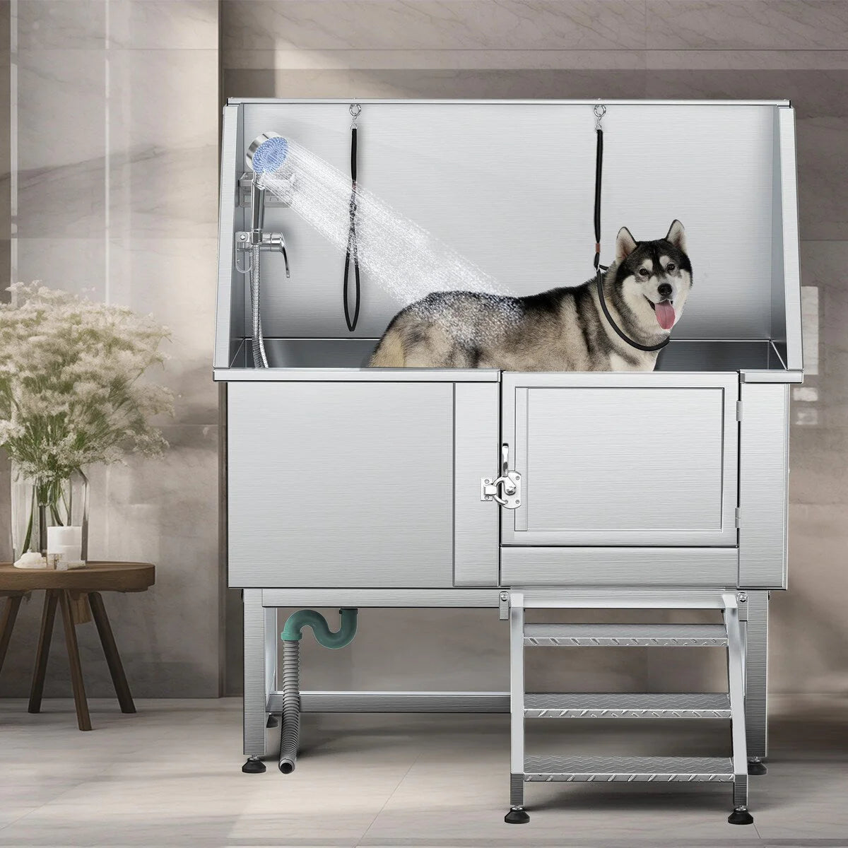 Baignoire de toilettage pour animaux de compagnie réglable, 50 W, en acier inoxydable, avec rampe à marches
