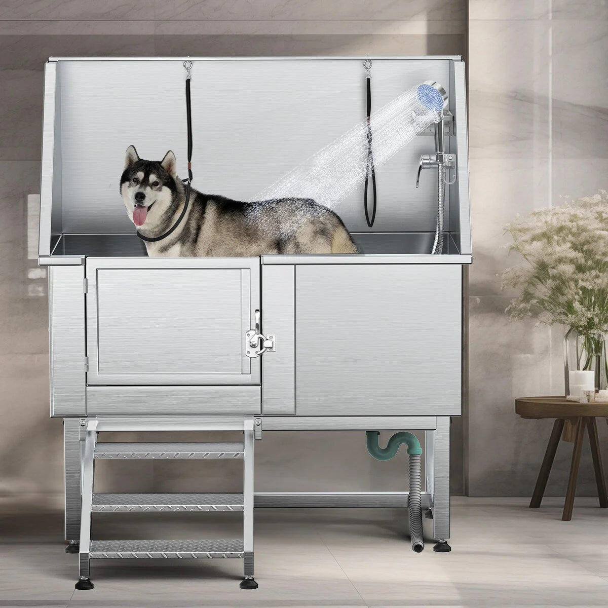 Baignoire de toilettage pour animaux de compagnie réglable, 50 W, en acier inoxydable, avec rampe à marches